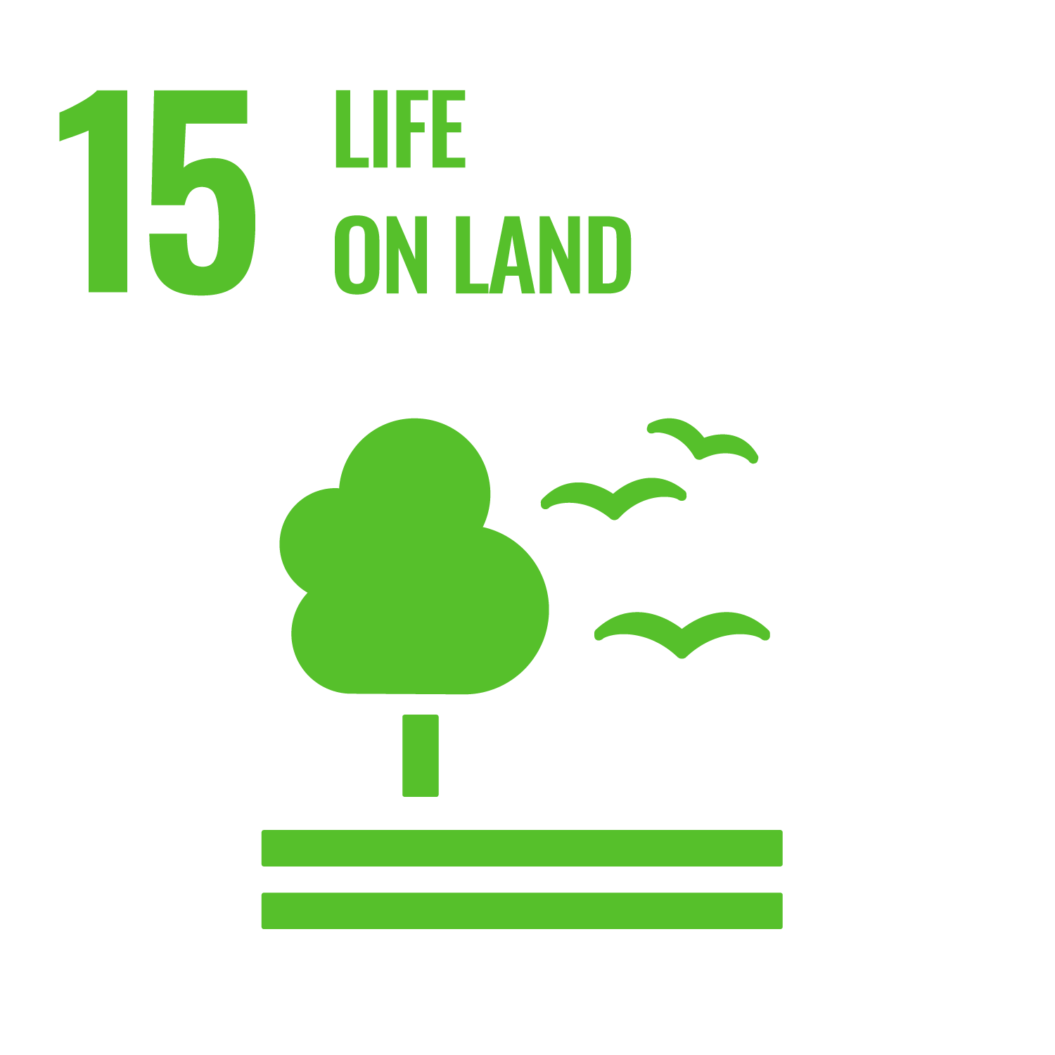15. Life on land