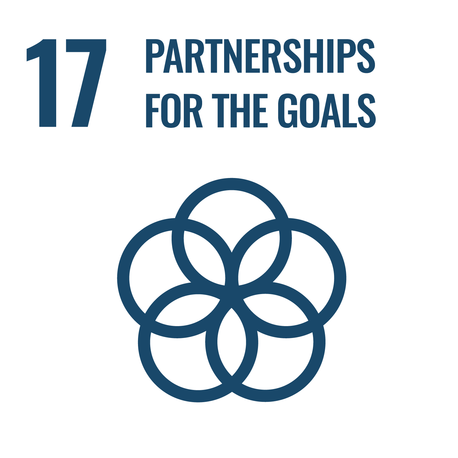 17. Partnership for the goals
