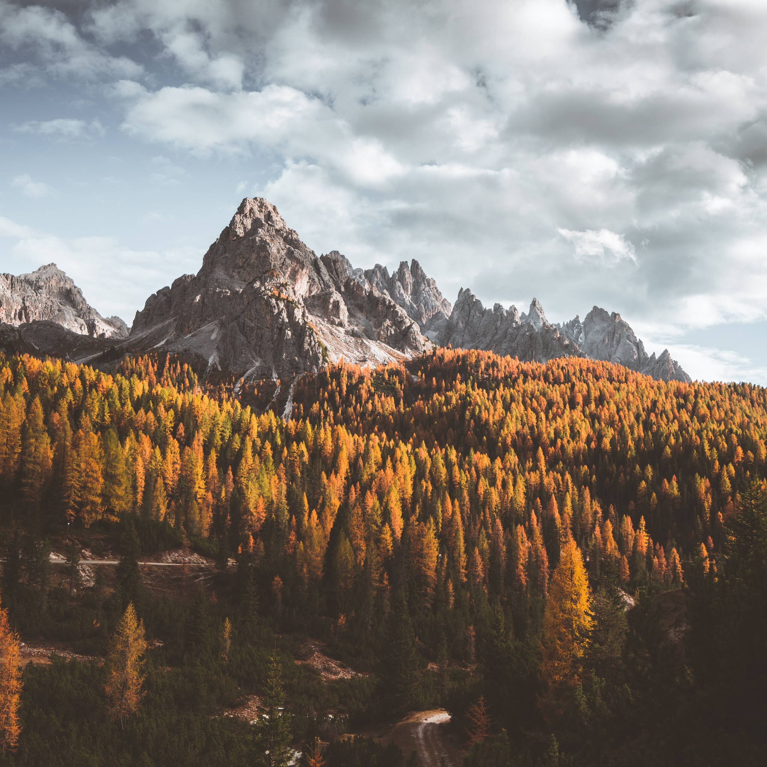 dorian-baumann-sl-2gao5qe4-unsplash.jpg dorian-baumann-sl-2gao5qe4-unsplash.jpg